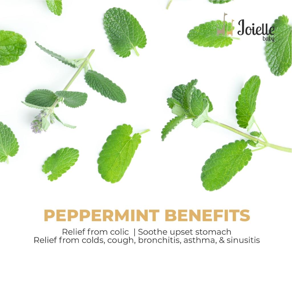 Limited Edition Petite Sample Size 15gram Natural Rub/ Chest and Tummy Rub/ Krim Kembung Perut Bayi